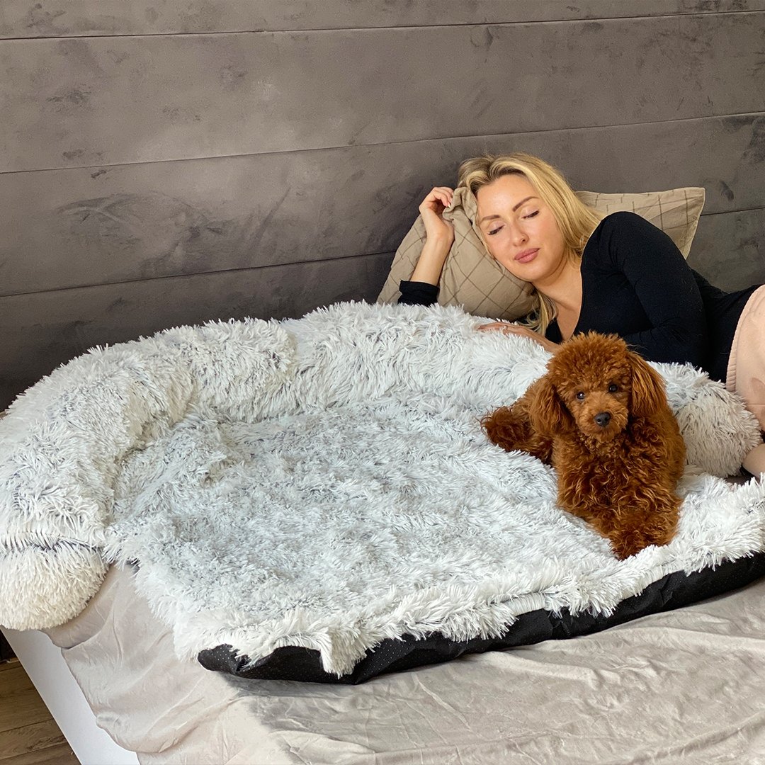 PawsyPillow | Waschbares, warmes und wasserdichtes Herbstkissen für deinen Hund