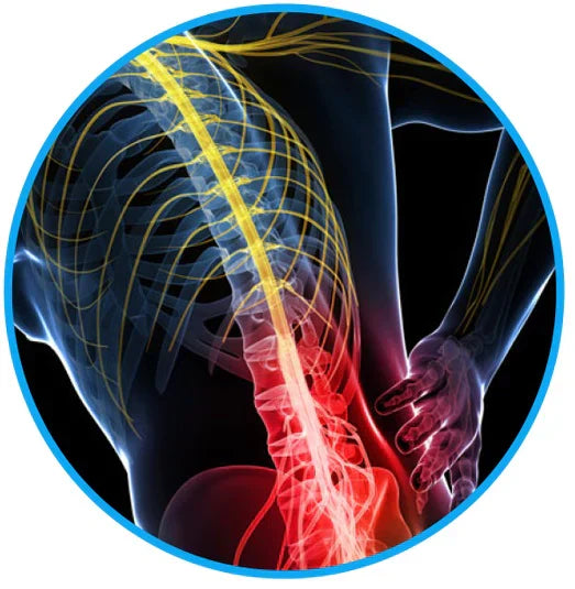 Sciatica Schmerz Linderungs Gürtel - beseitigen Sie Ihre Ischias- & Rückenschmerzen