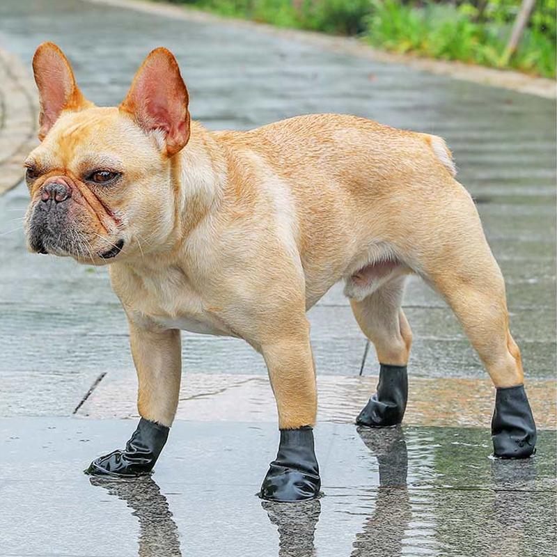 PootShield Wasserdichte Hundeschuhe mit Grip und schützendem Komfort