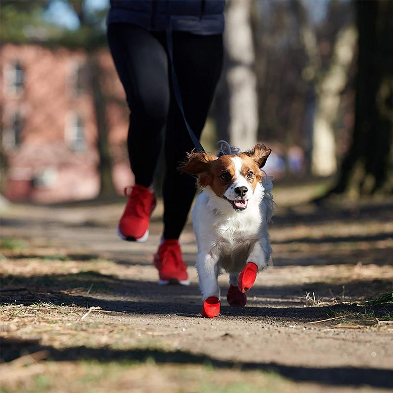 PootShield Wasserdichte Hundeschuhe mit Grip und schützendem Komfort