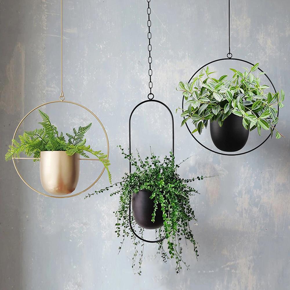 FloraFrame – Eleganter Metall Pflanzenhalter für Wand oder Decke