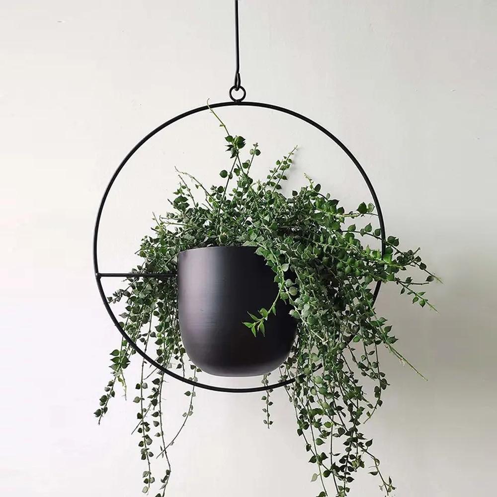 FloraFrame – Eleganter Metall Pflanzenhalter für Wand oder Decke
