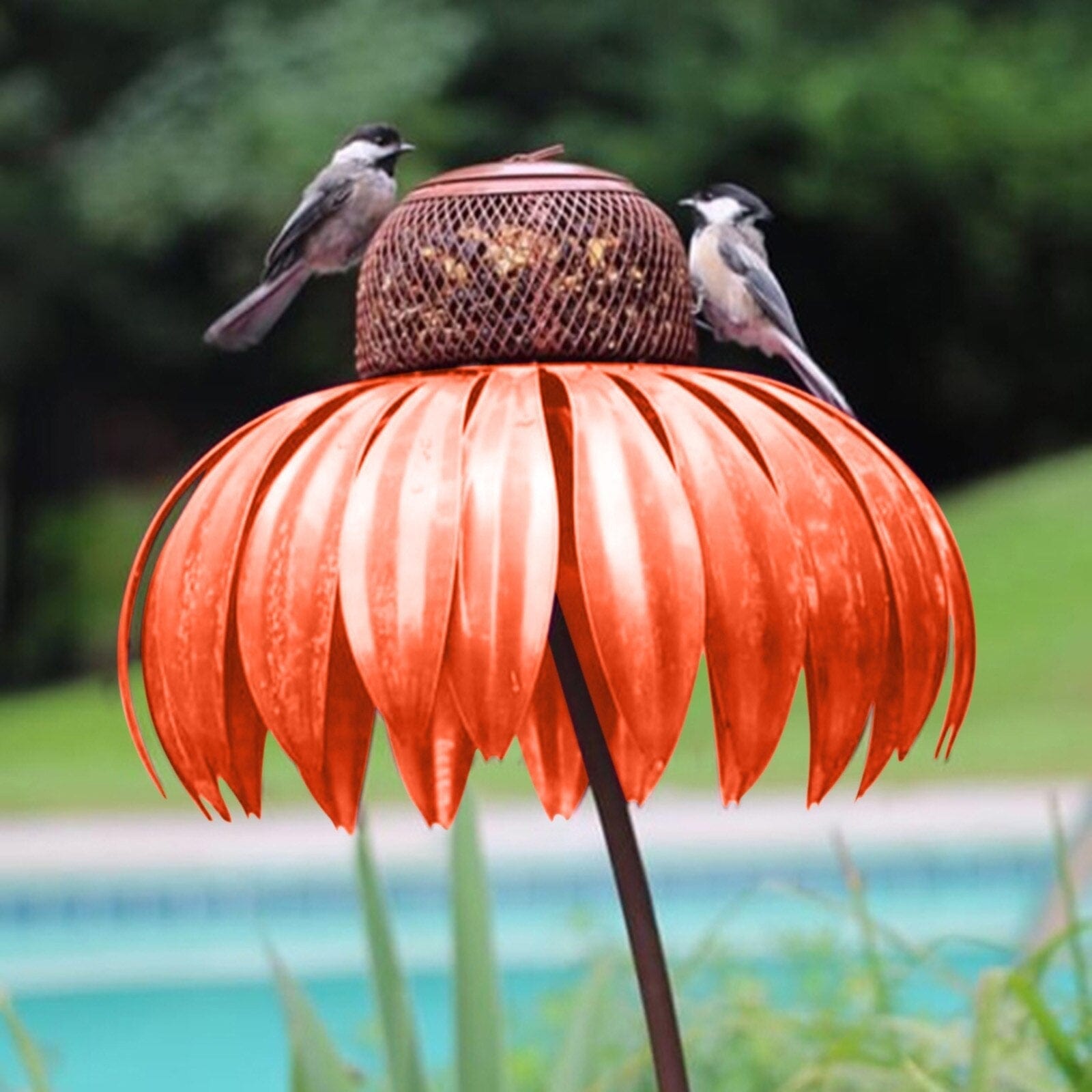 Vogelfutterhaus – 50% RABATT heute!