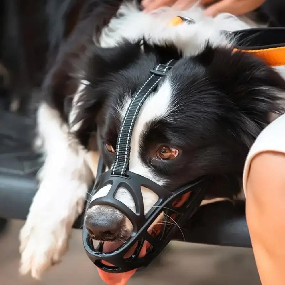 SafeBark • Maulkorb für Hunde