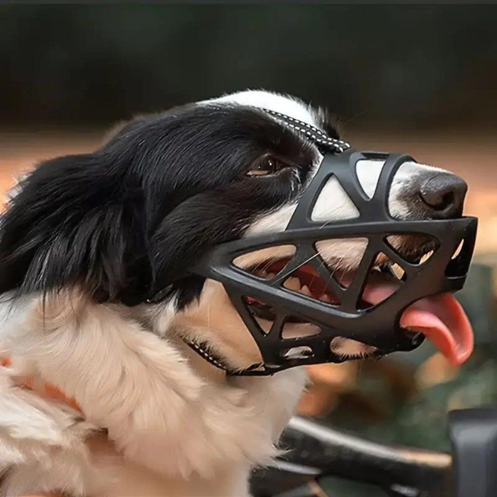 SafeBark • Maulkorb für Hunde
