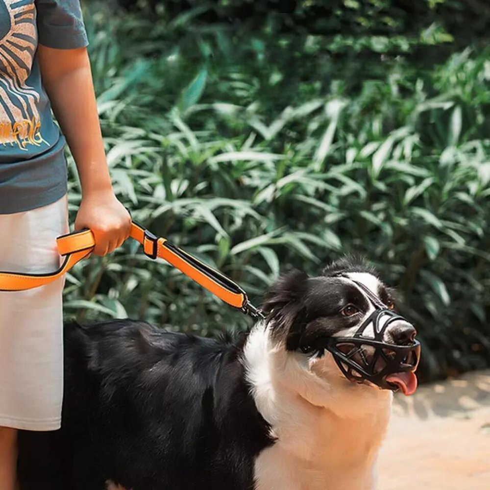 SafeBark • Maulkorb für Hunde