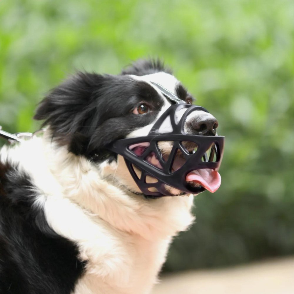 SafeBark • Maulkorb für Hunde