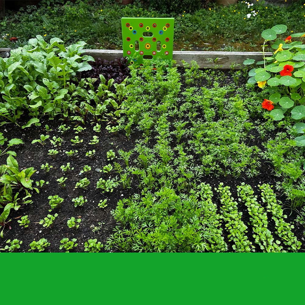 GardenLux Elite Saatstartset | Transformiere dein Garten-Erlebnis mit fachkundiger Anleitung und hochwertigem Werkzeug