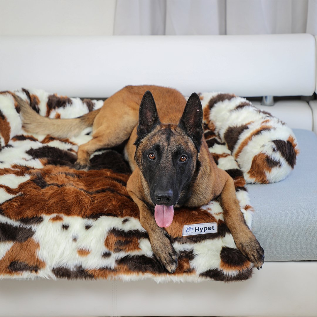 PawsyPillow | Waschbares, warmes und wasserdichtes Herbstkissen für deinen Hund