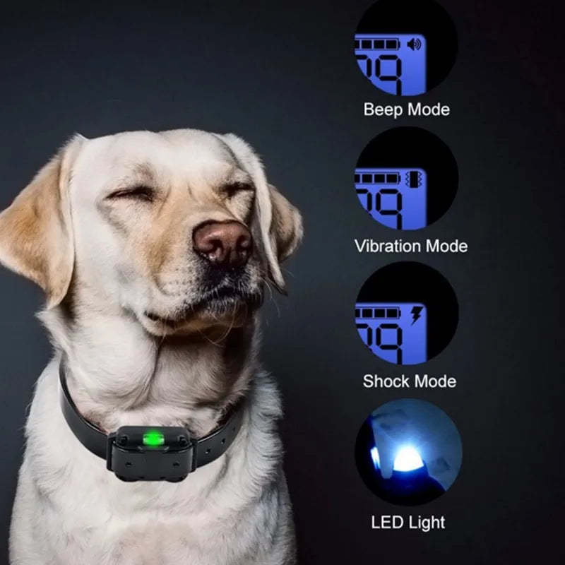 Norvo E-Halsband für Hundetraining – Sicher, Effektiv, Wasserdicht