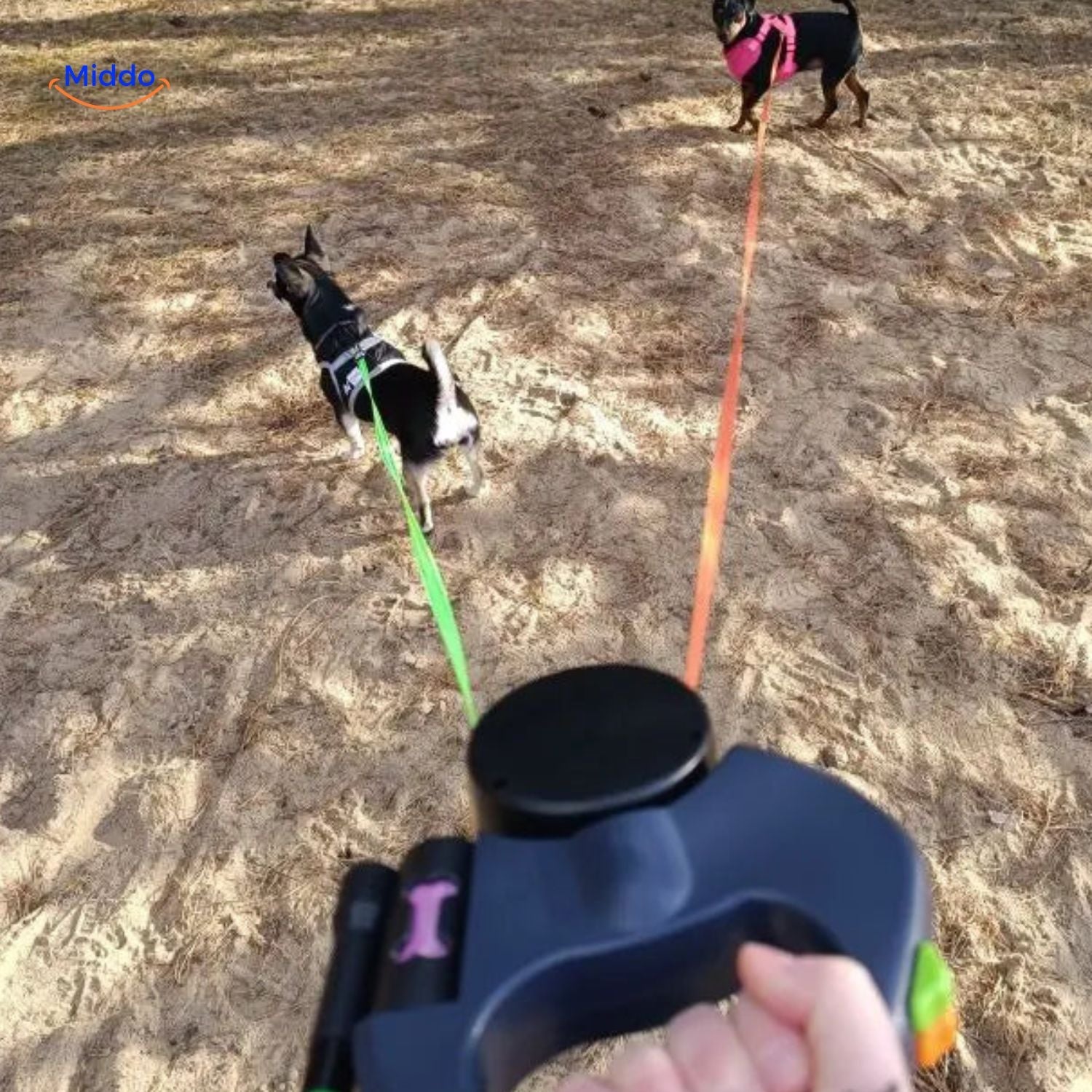 HundeHarmonie Leine | 2-in-1 einziehbare Leine für kleine und mittelgroße Hunde