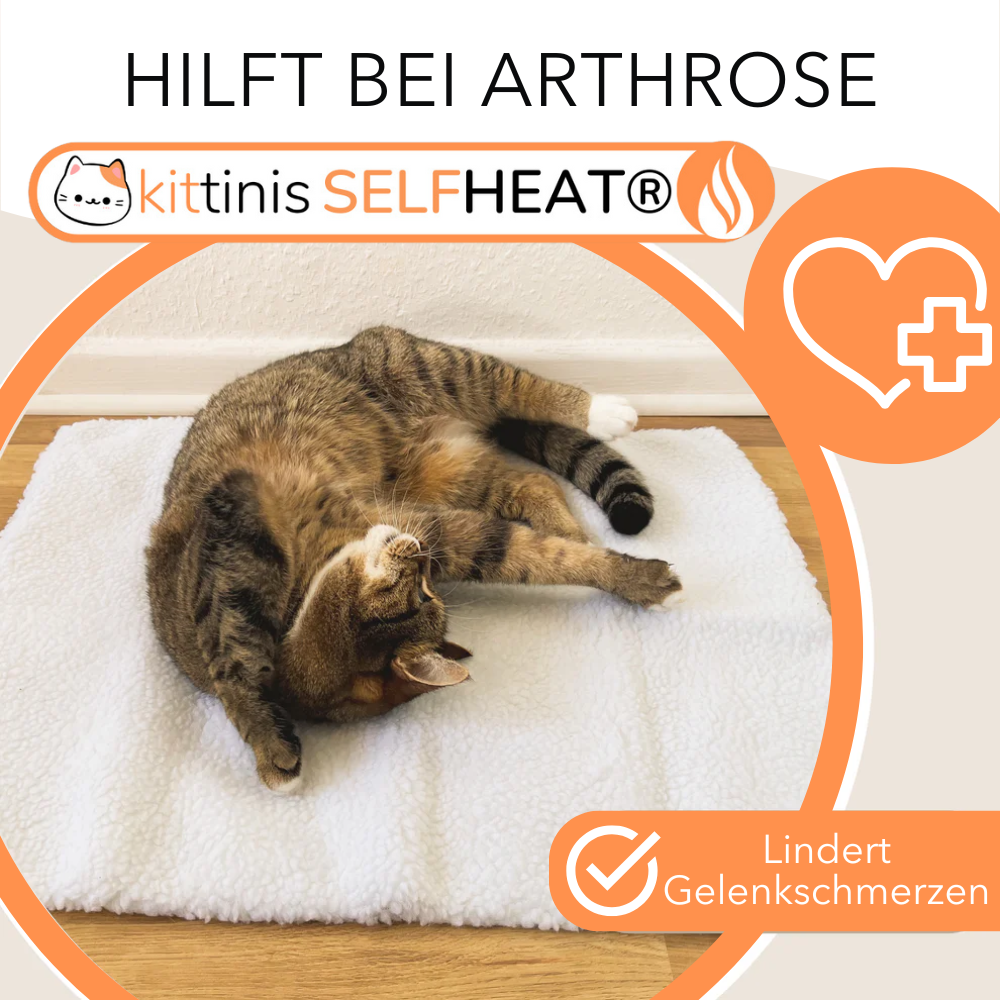 CozyWarm Pad | Strahlt Wärme für deinen pelzigen Freund aus