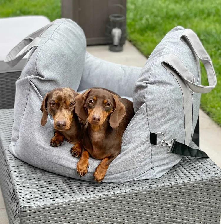 ChienLux | Hundeautositz – optimaler Komfort – erhöhte Sicherheit – elegantes Design