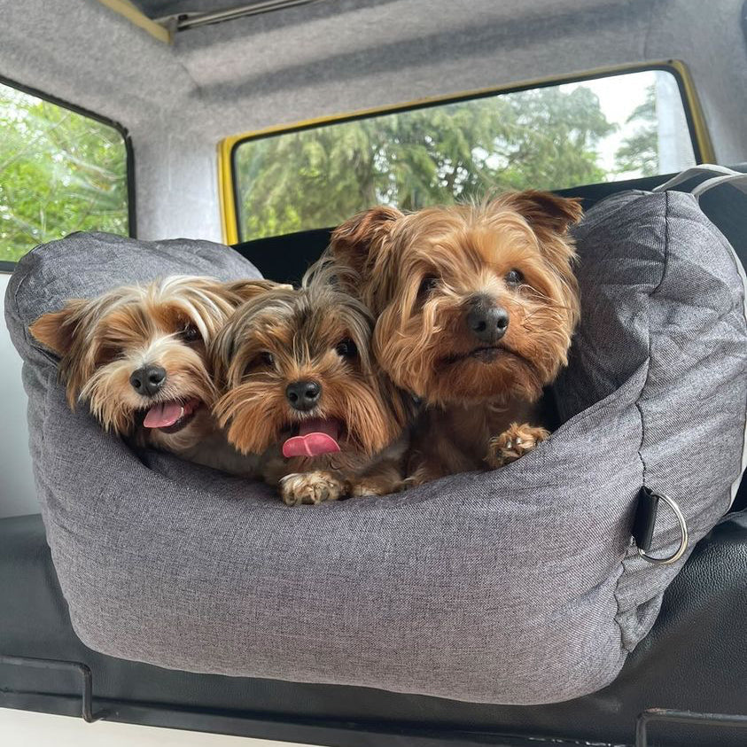 ChienLux | Hundeautositz – optimaler Komfort – erhöhte Sicherheit – elegantes Design