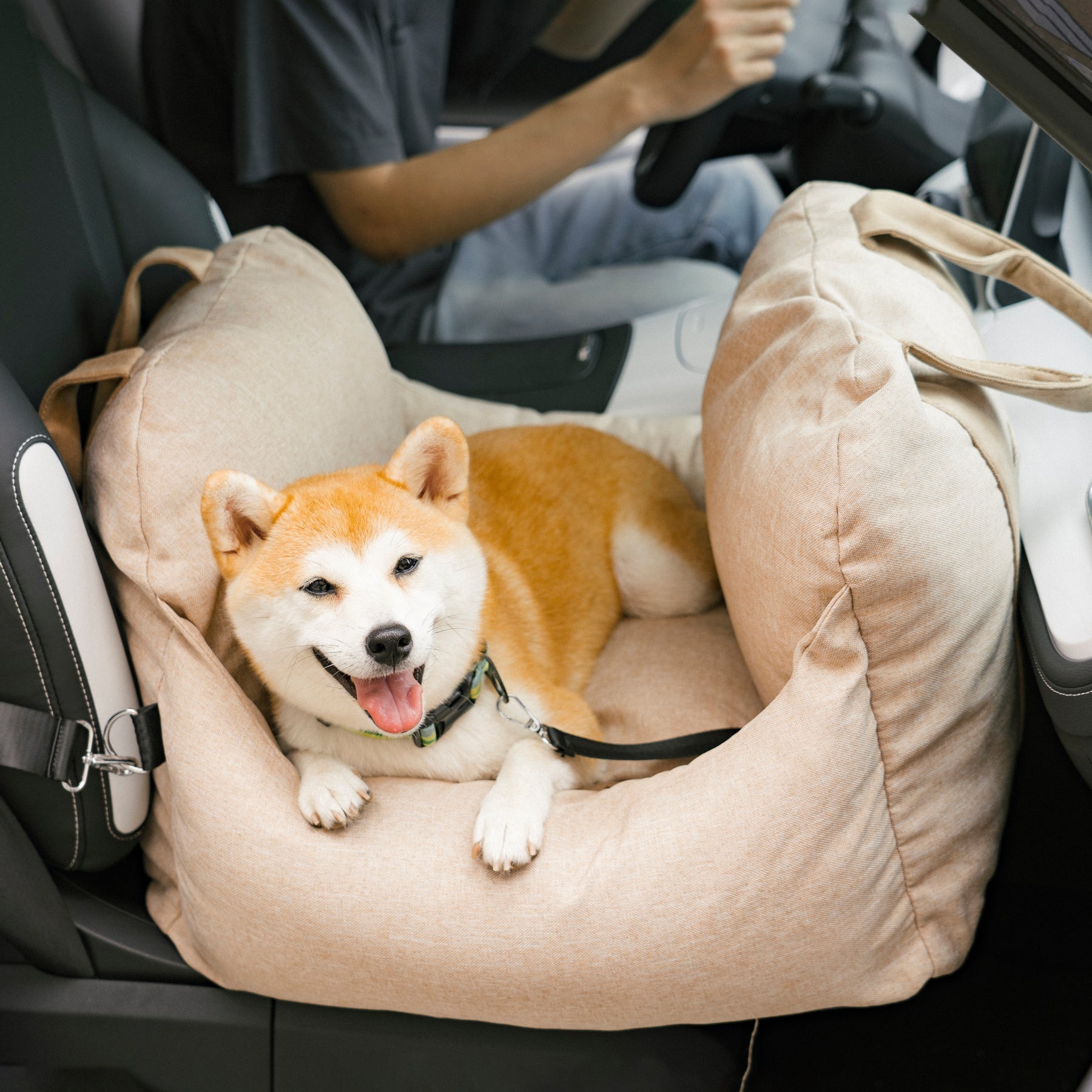 ChienLux | Hundeautositz – optimaler Komfort – erhöhte Sicherheit – elegantes Design
