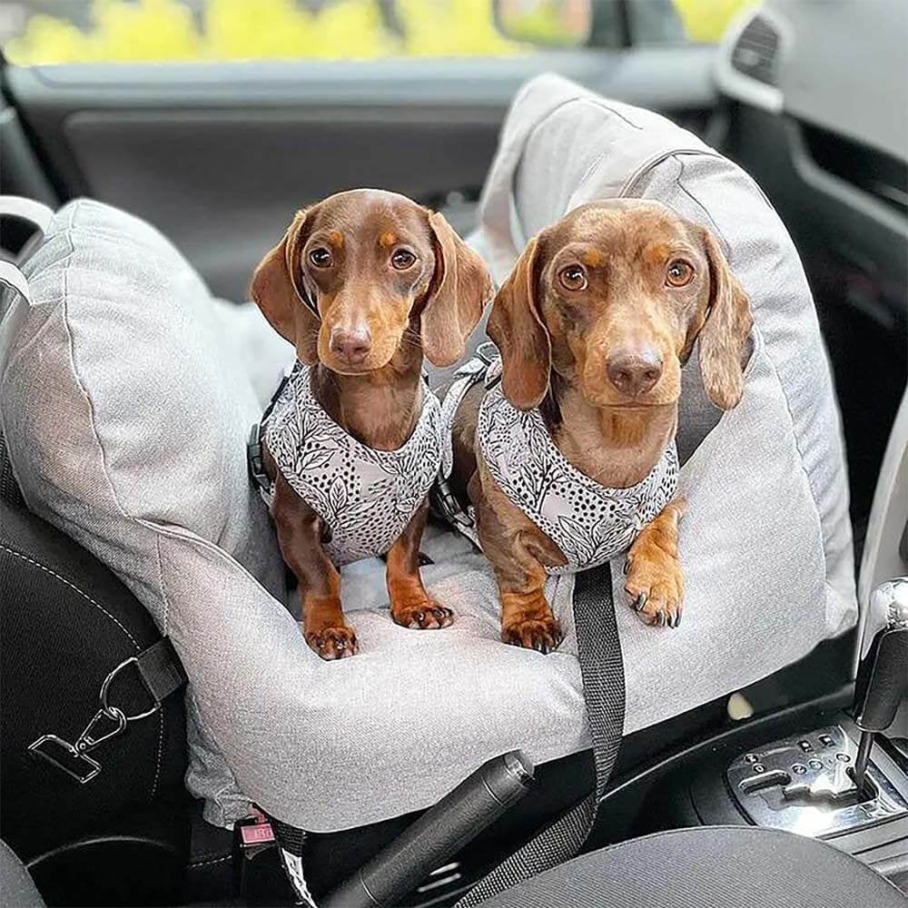 ChienLux | Hundeautositz – optimaler Komfort – erhöhte Sicherheit – elegantes Design