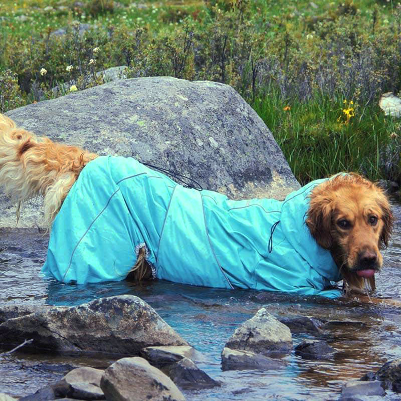 Wasserdichte Hunde-Regenjacke – Verstellbare Outdoor-Jacke für Hunde