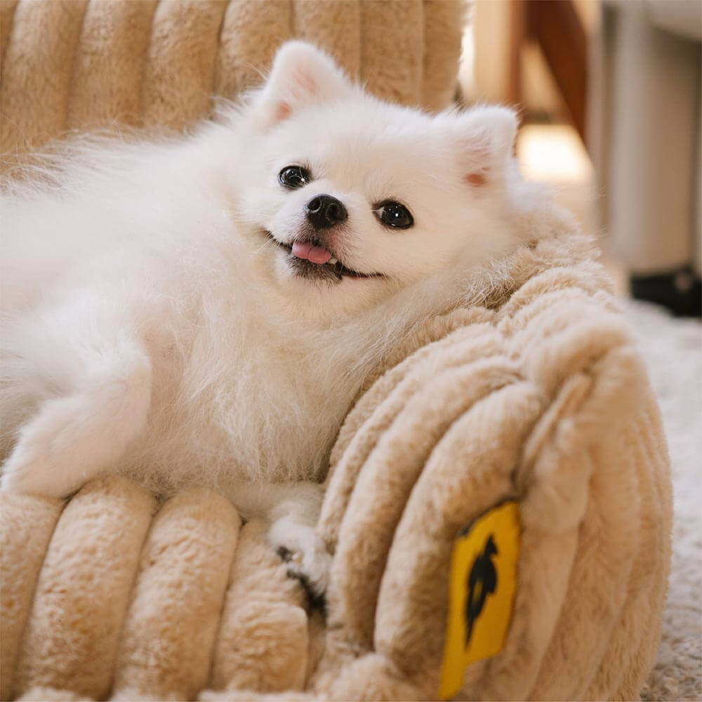 PawCushion | waschbare orthopädische Schlafbank für Haustiere