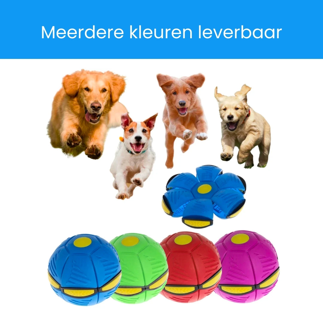 PowerBall | Stundenlanger Spielspaß für deinen liebsten tierischen Freund