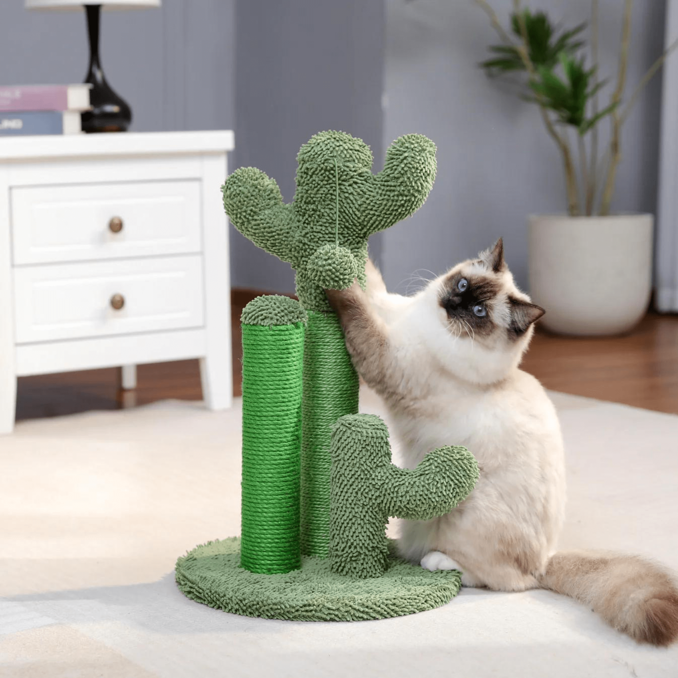 KrapCactus | Ideal für dein vierbeiniges Haustier