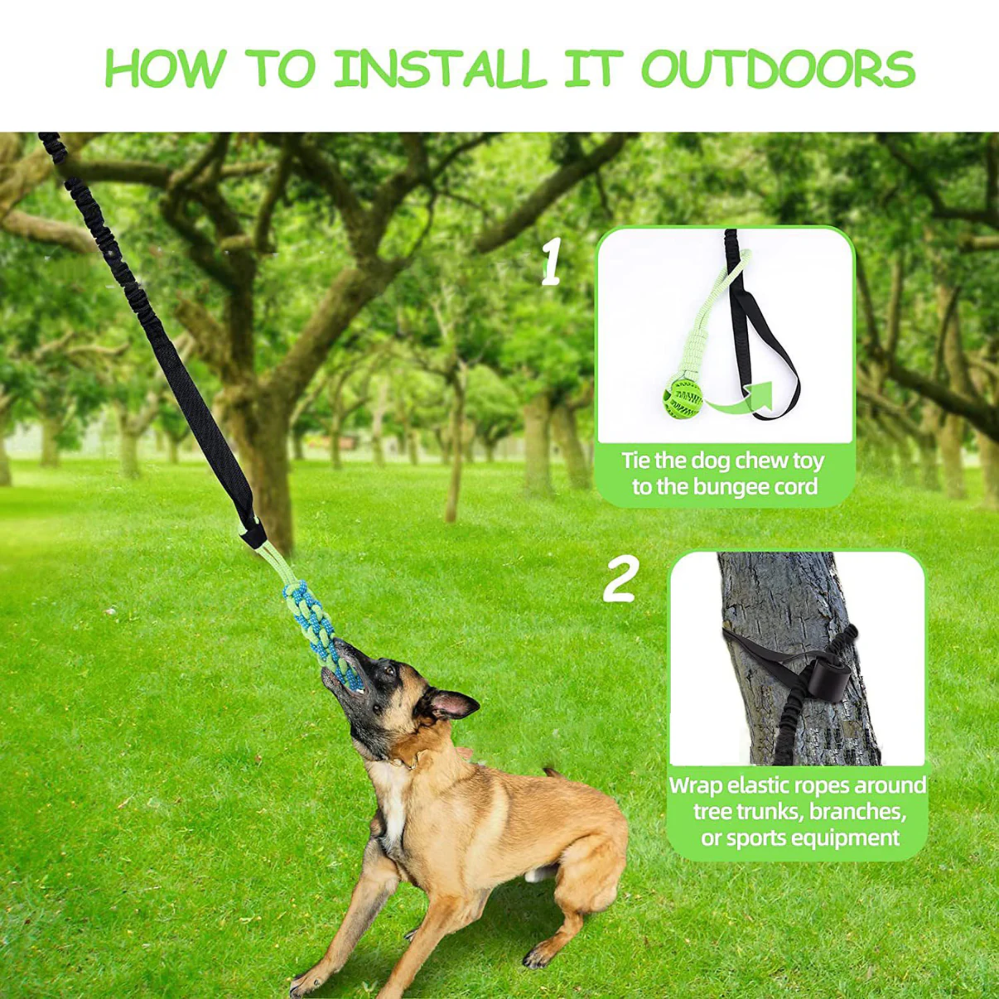 Springball Pro | unendlicher Springspaß für deinen Hund