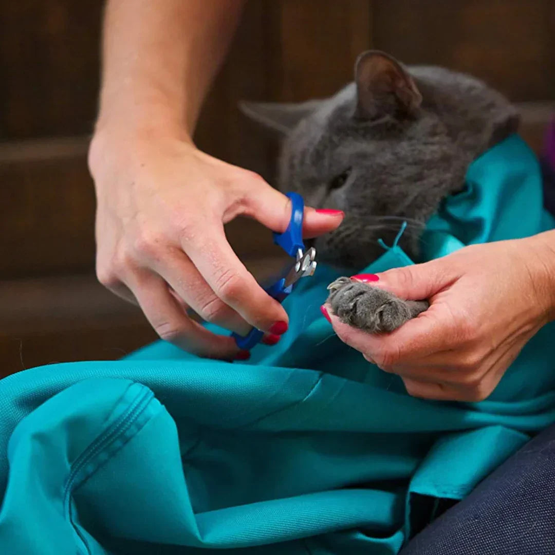 PurrfectTravel | Pflege- und Reisetasche