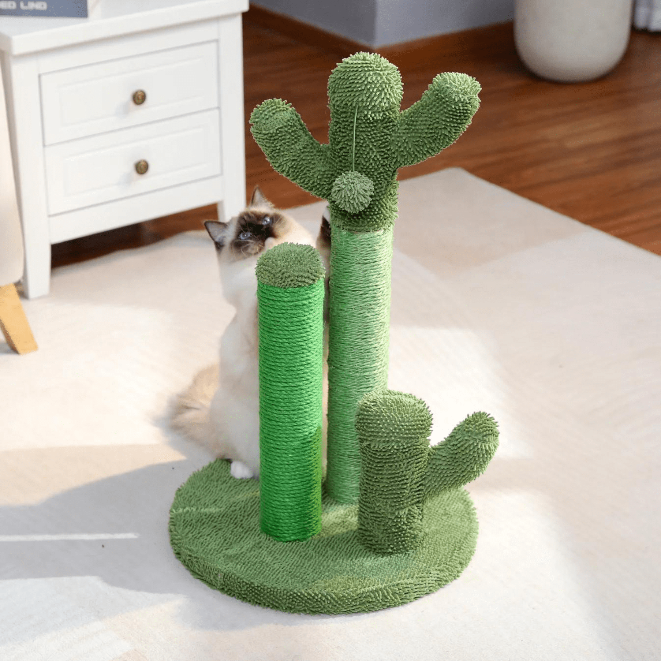 KrapCactus | Ideal für dein vierbeiniges Haustier