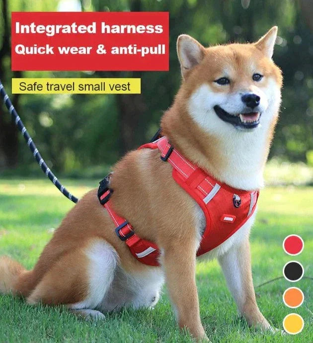 PawEase Soft Hundegeschirr | Komfort, Sicherheit und Kontrolle