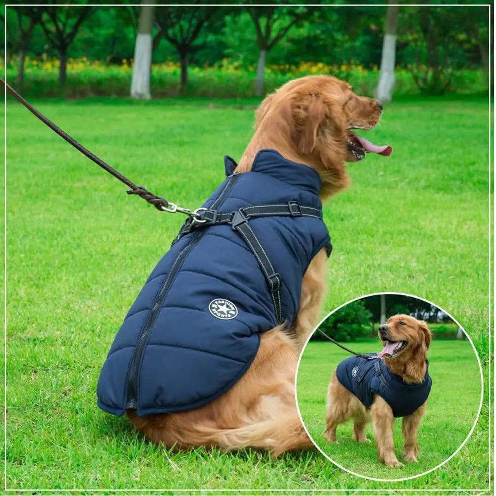 PupArmor | Winddicht & Reflektierend Hundeweste