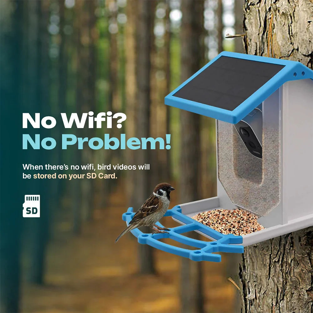 BirdView Smart Feeder | Kontakt mit der Natur wie nie zuvor