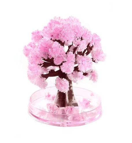 MagicGrow Weihnachtsbaum | Erlebe die Magie von Weihnachten