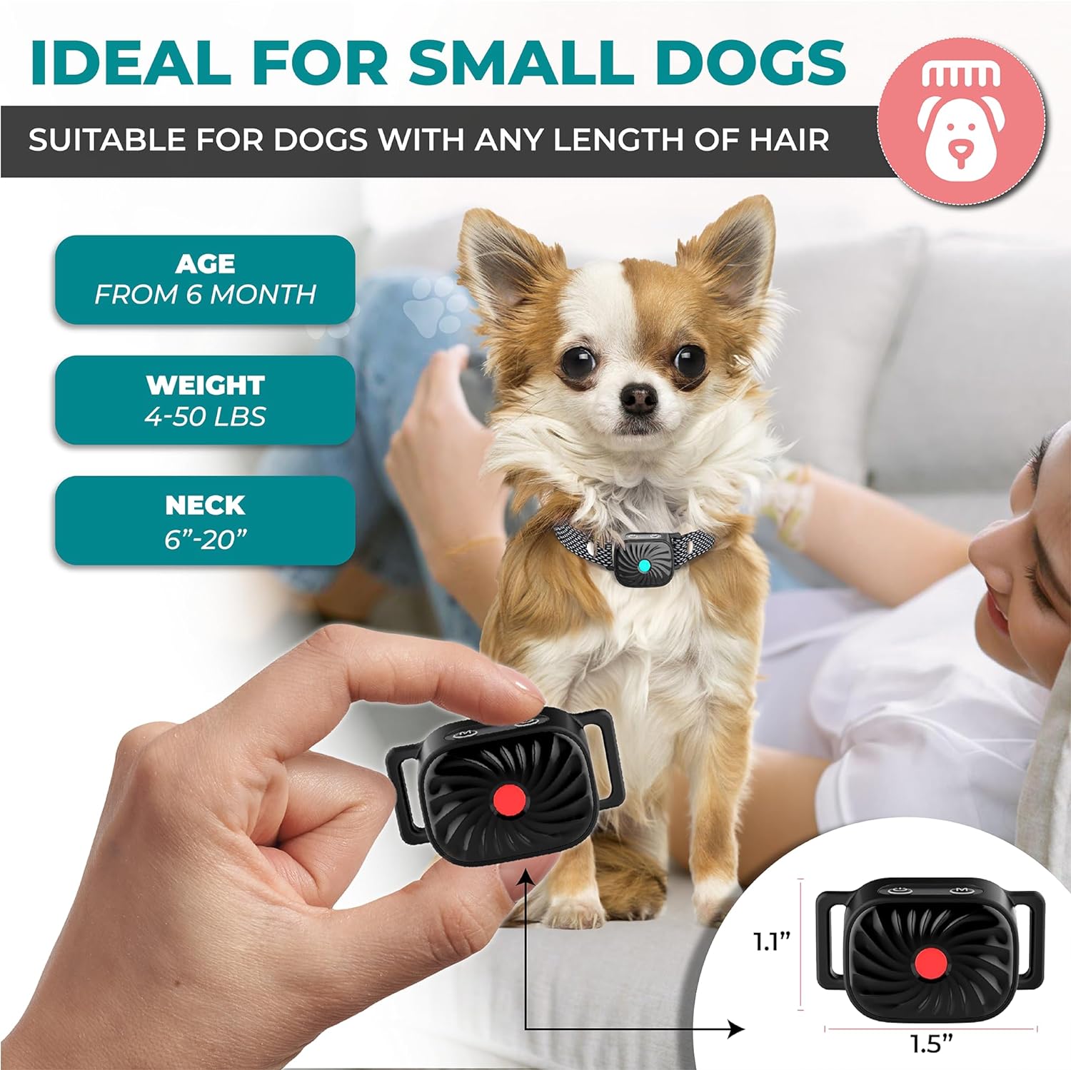 Antibellhalsband Kleine Hunde Sicherheit