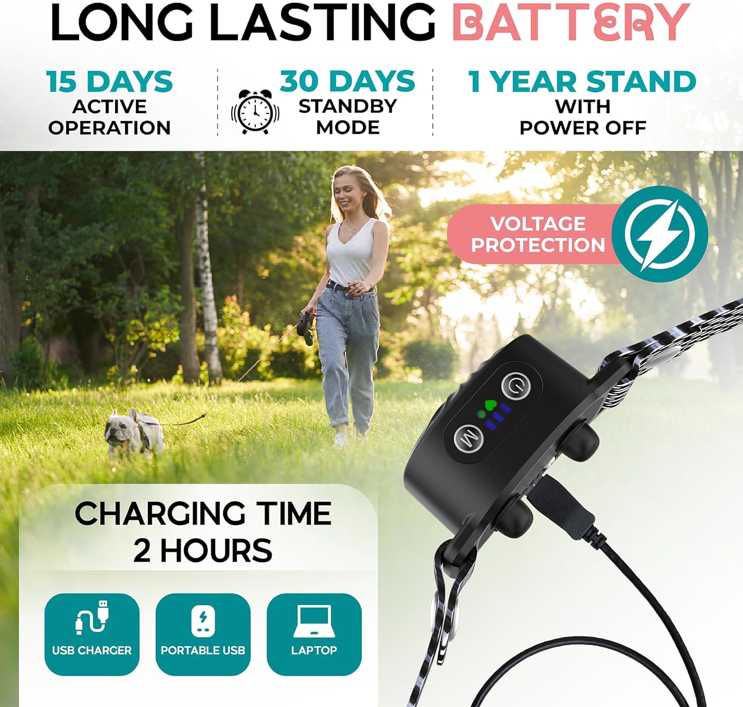 Antibellhalsband Kleine Hunde Sicherheit