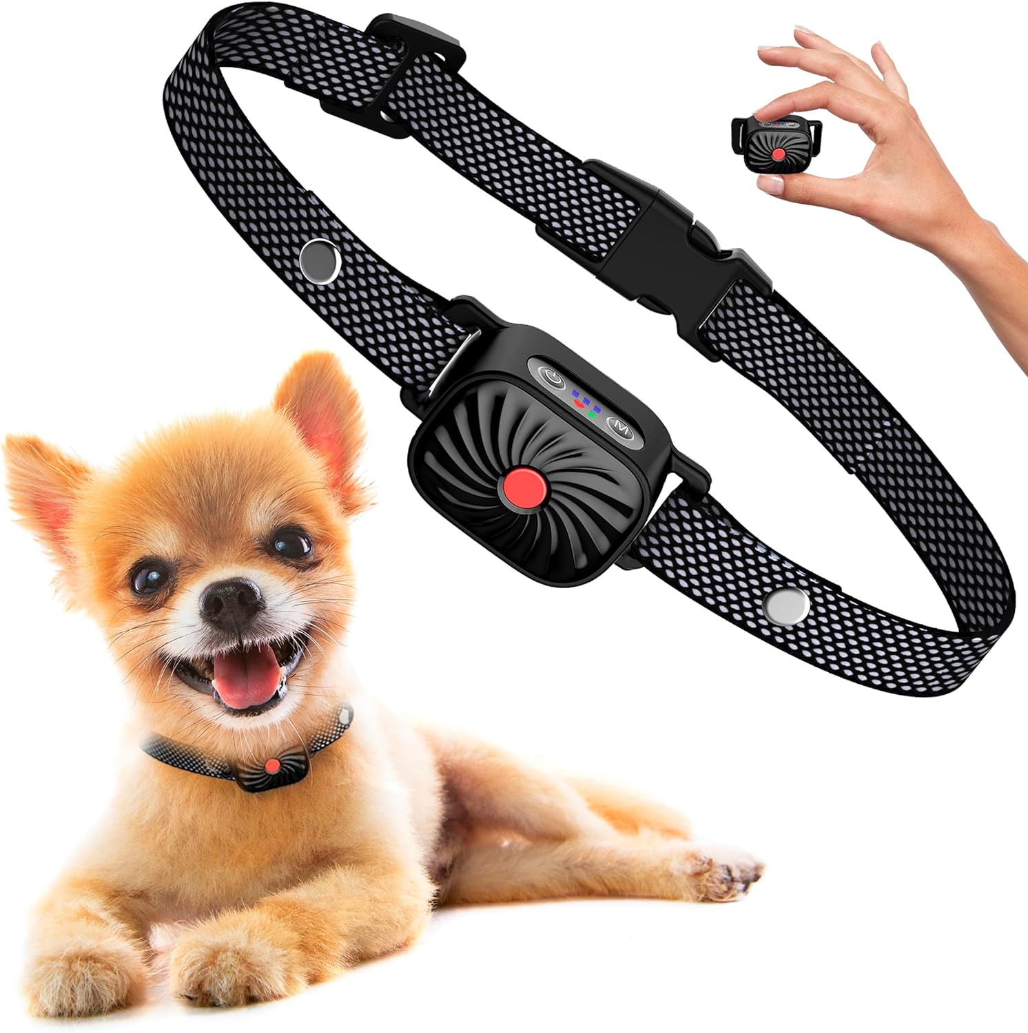 Antibellhalsband Kleine Hunde Sicherheit