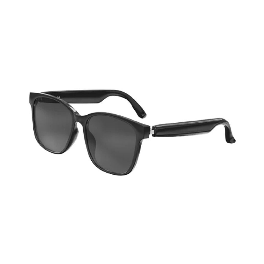LingoVision Smarte Brille | Intelligenter Sehen, Hören und Verbinden