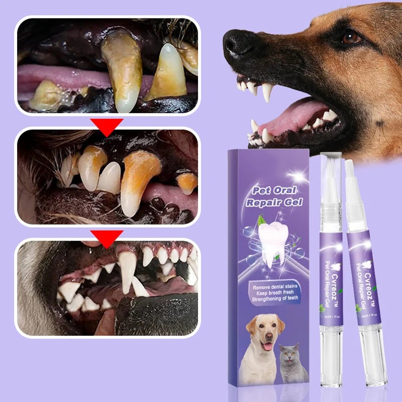 FreshPaws Zahnreinigungs-Gel für Haustiere | Zahnstein- und Fleckenentferner für ein gesünderes Lächeln