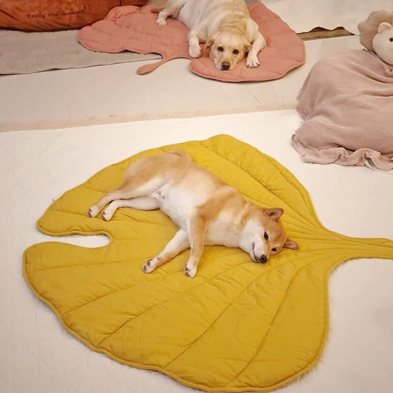 BladNest Hundedecke – Komfortable Blattformige Decke aus Baumwolle und Polyester