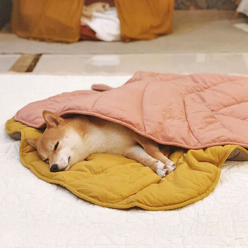 BladNest Hundedecke – Komfortable Blattformige Decke aus Baumwolle und Polyester