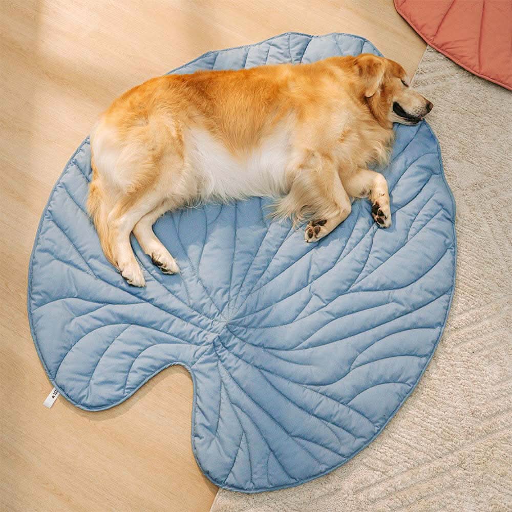 BladNest Hundedecke – Komfortable Blattformige Decke aus Baumwolle und Polyester