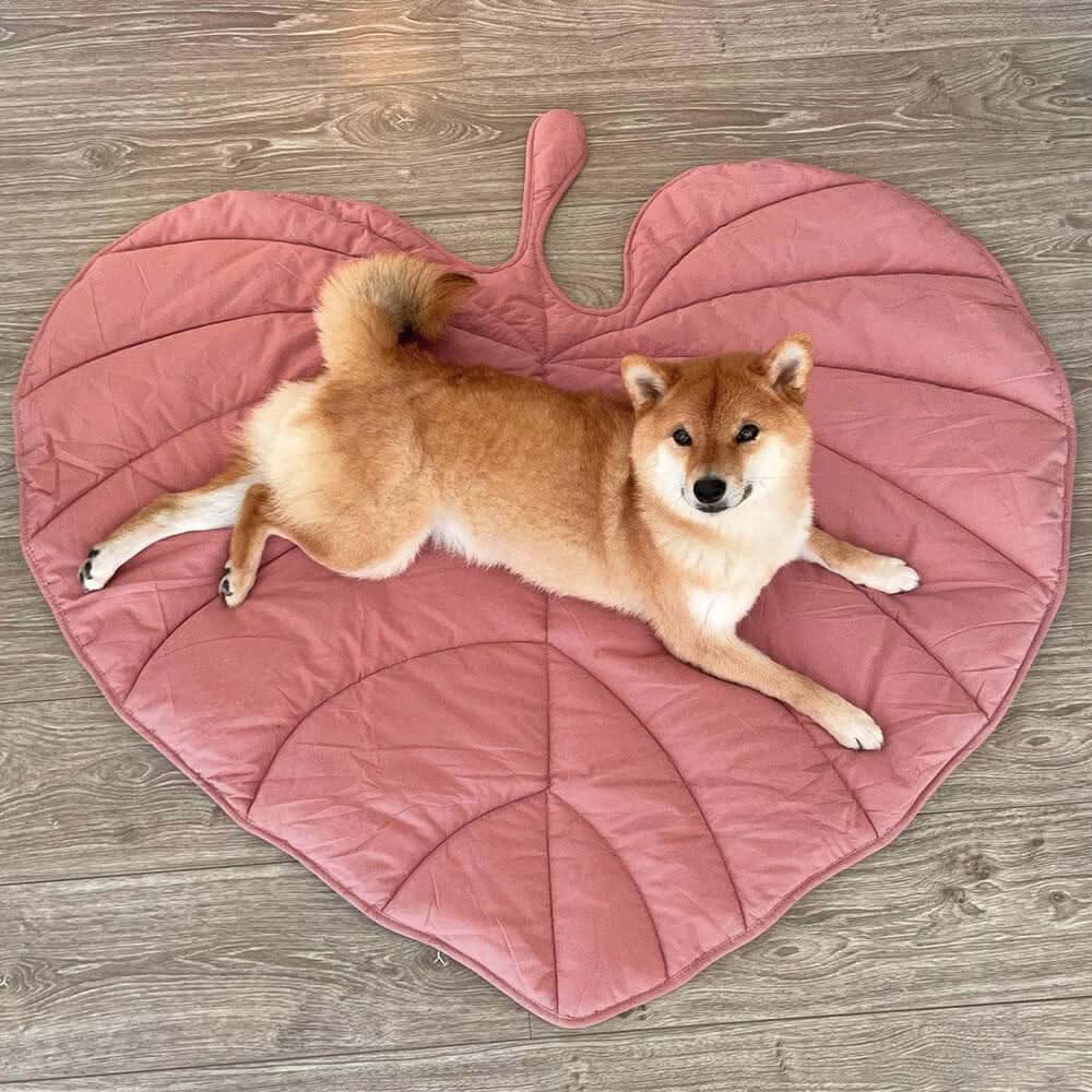 BladNest Hundedecke – Komfortable Blattformige Decke aus Baumwolle und Polyester