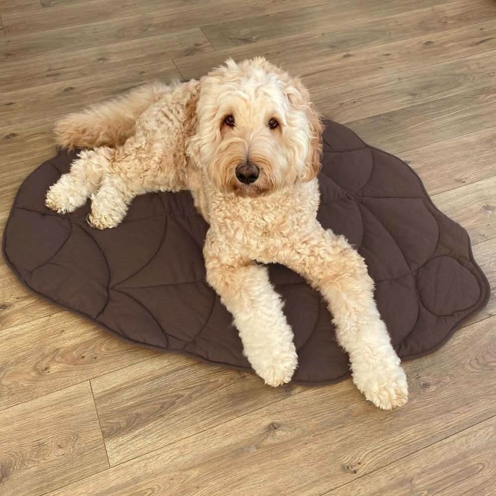 BladNest Hundedecke – Komfortable Blattformige Decke aus Baumwolle und Polyester