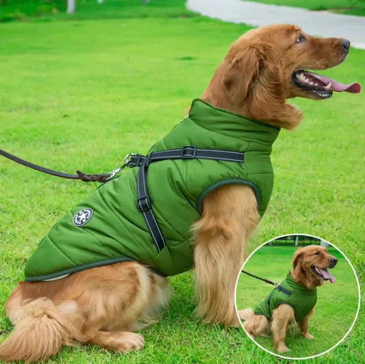 PupArmor | Winddicht & Reflektierend Hundeweste