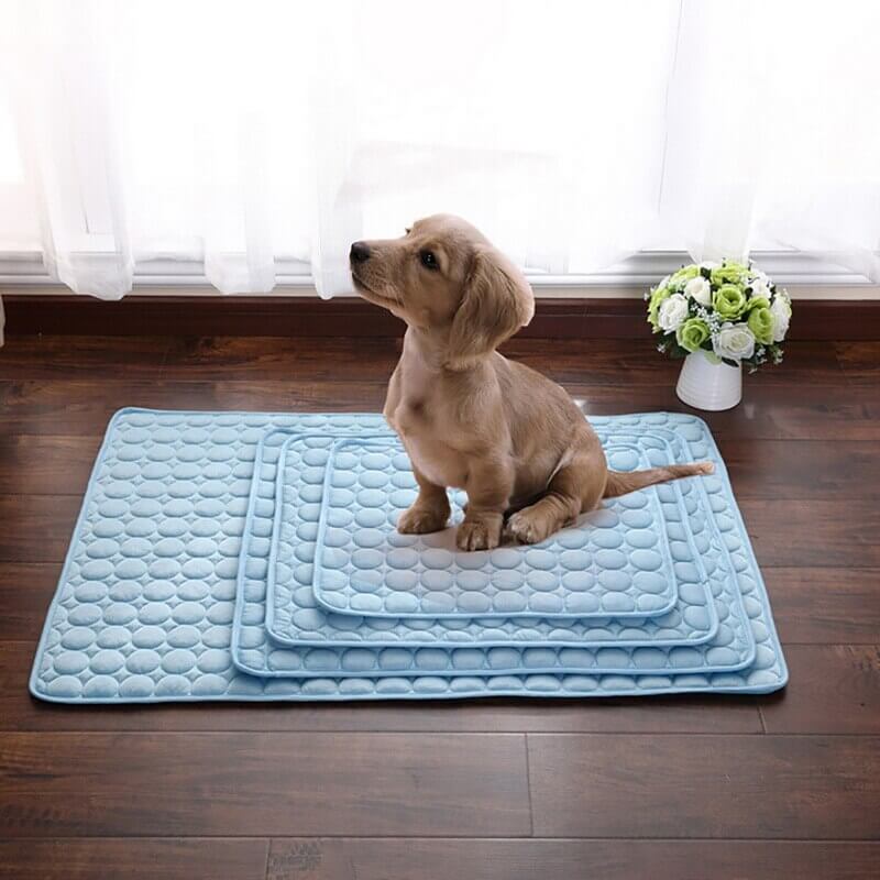 CoolPaw Kühlmatte | Wärmeabsorbierende Matte für entspannte Haustiere