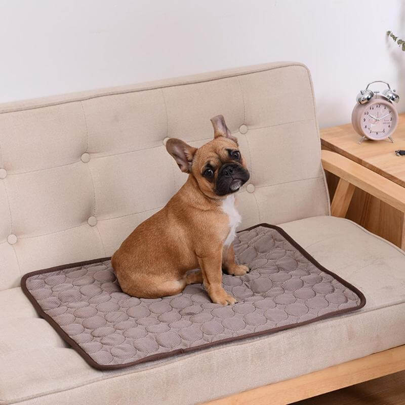 CoolPaw Kühlmatte | Wärmeabsorbierende Matte für entspannte Haustiere
