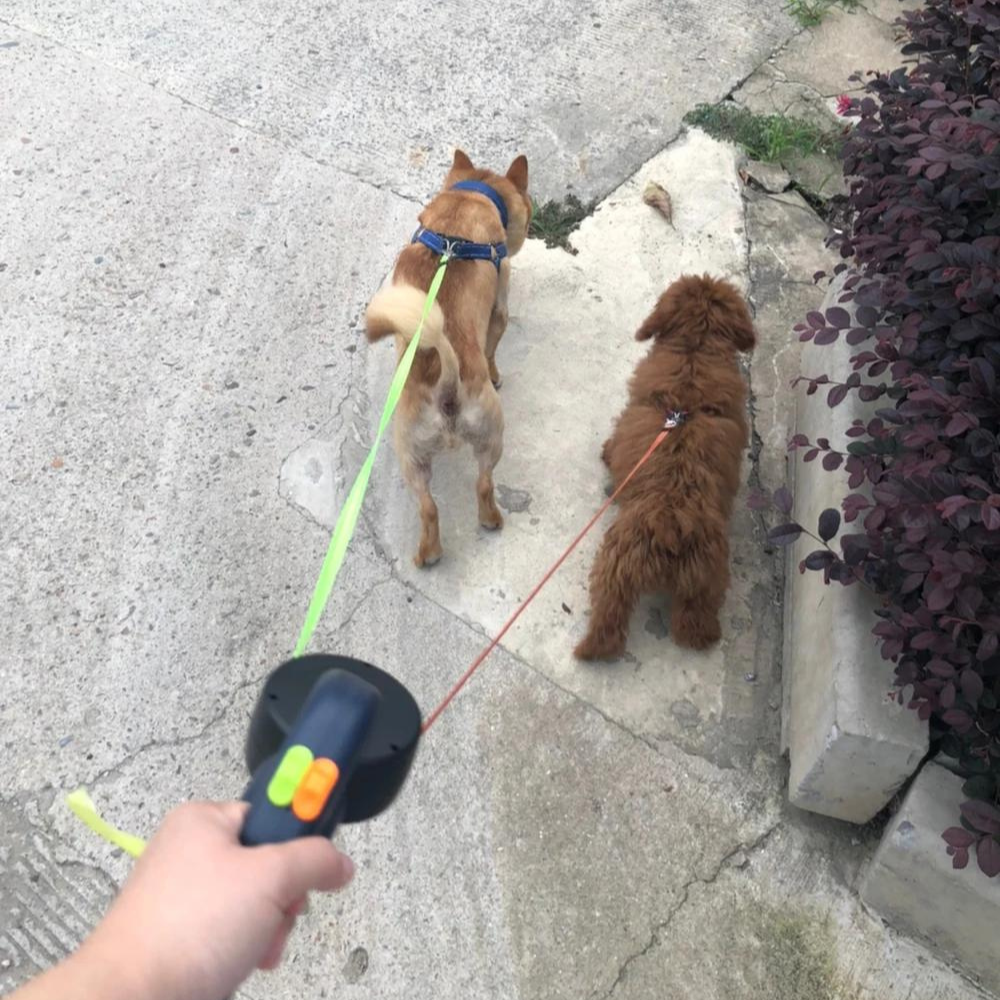 PetPair Leine | Doppelte Einziehbare Haustierleine mit LED Licht