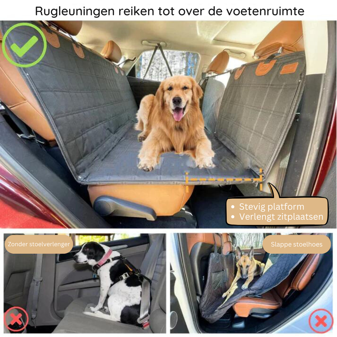 ComfortCarrier | Wo Autoschutz und Komfort für deinen Hund aufeinandertreffen | +Sichere Hundeleine