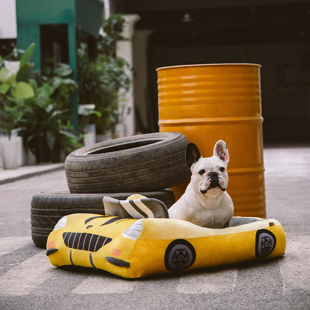 FurElegance Klassisches Umwandelbares Rennwagenbett | Luxuriöses Bolster-Hundebett für stilvollen Komfort und Unterstützung