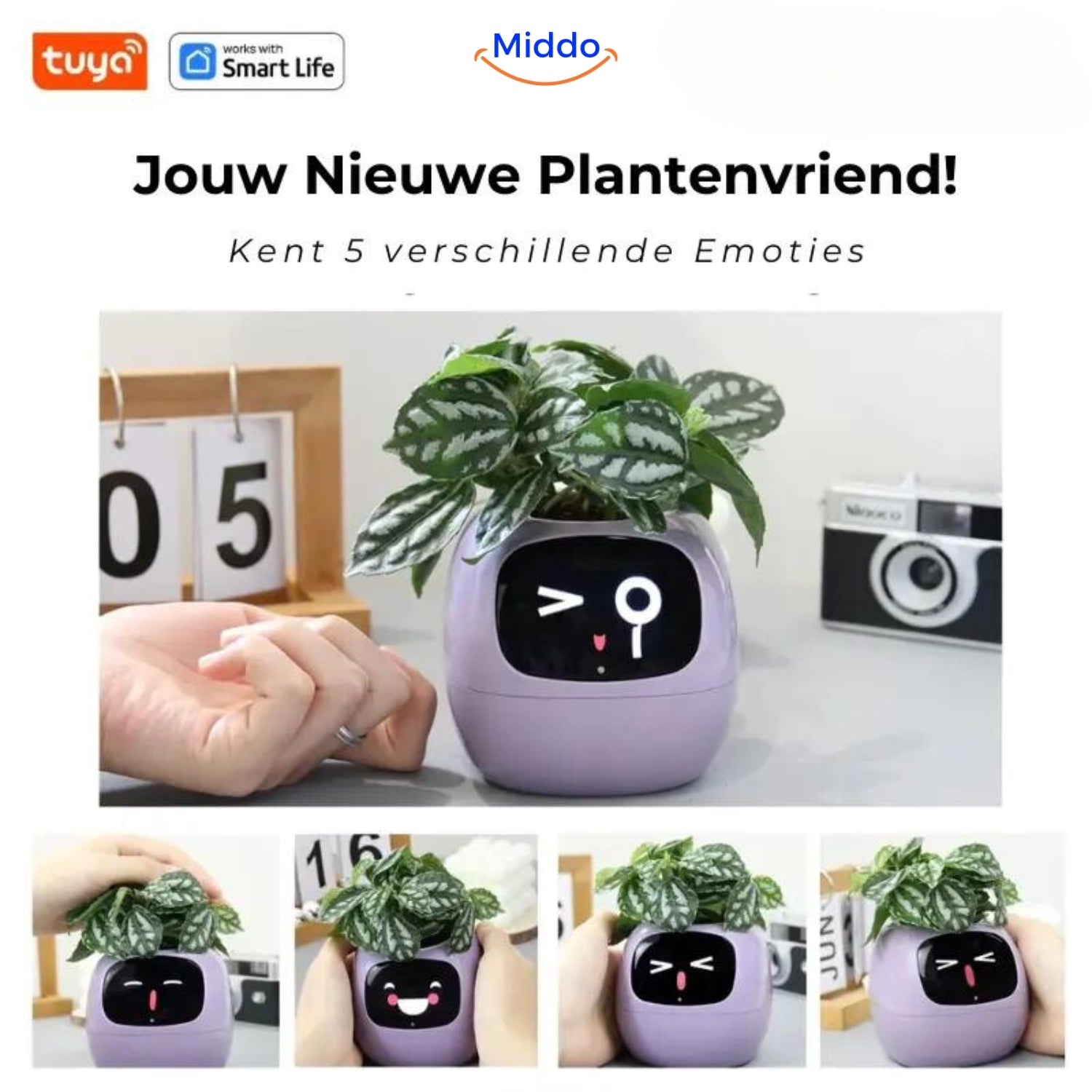 IvyCare Automatischer Blumentopf | Intelligente Pflanzenpflege für glückliche Pflanzen