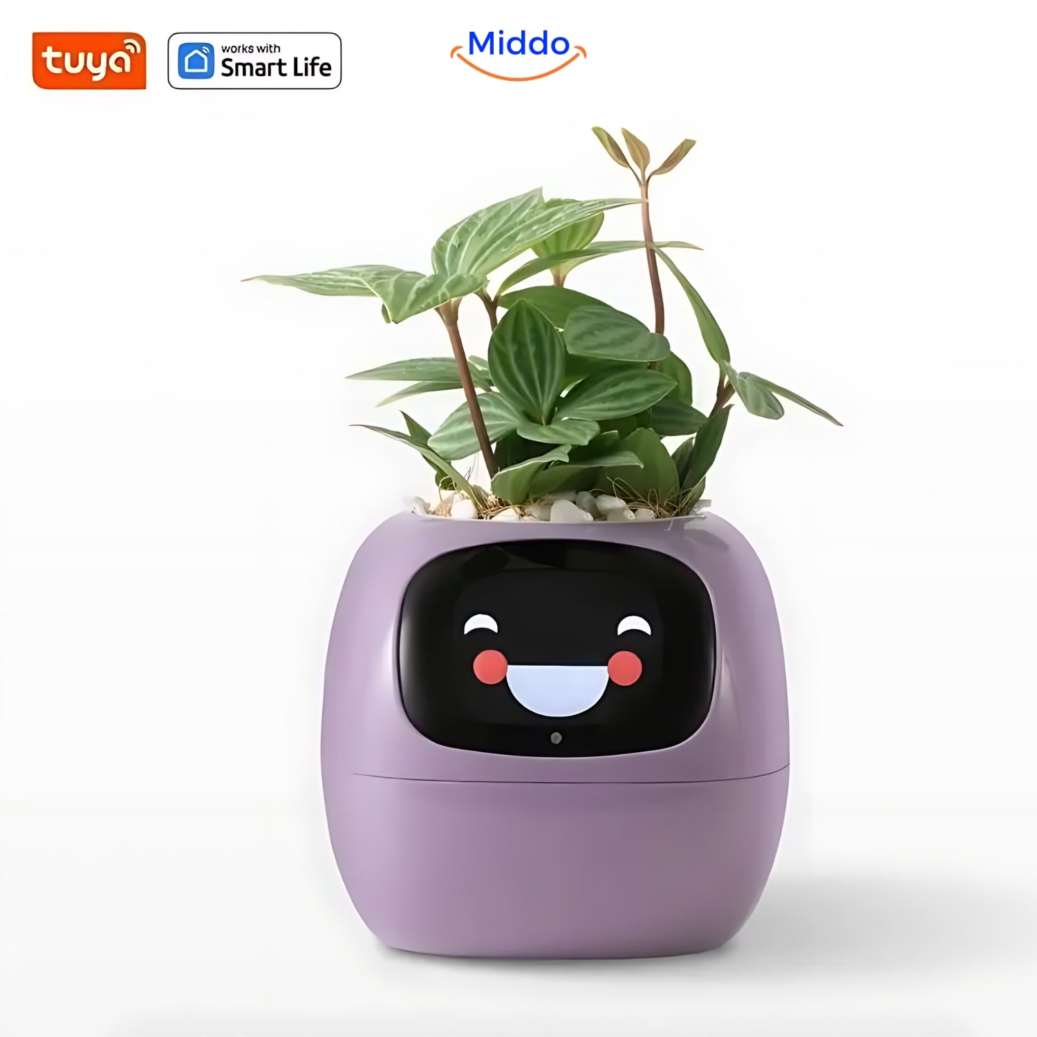IvyCare Automatischer Blumentopf | Intelligente Pflanzenpflege für glückliche Pflanzen