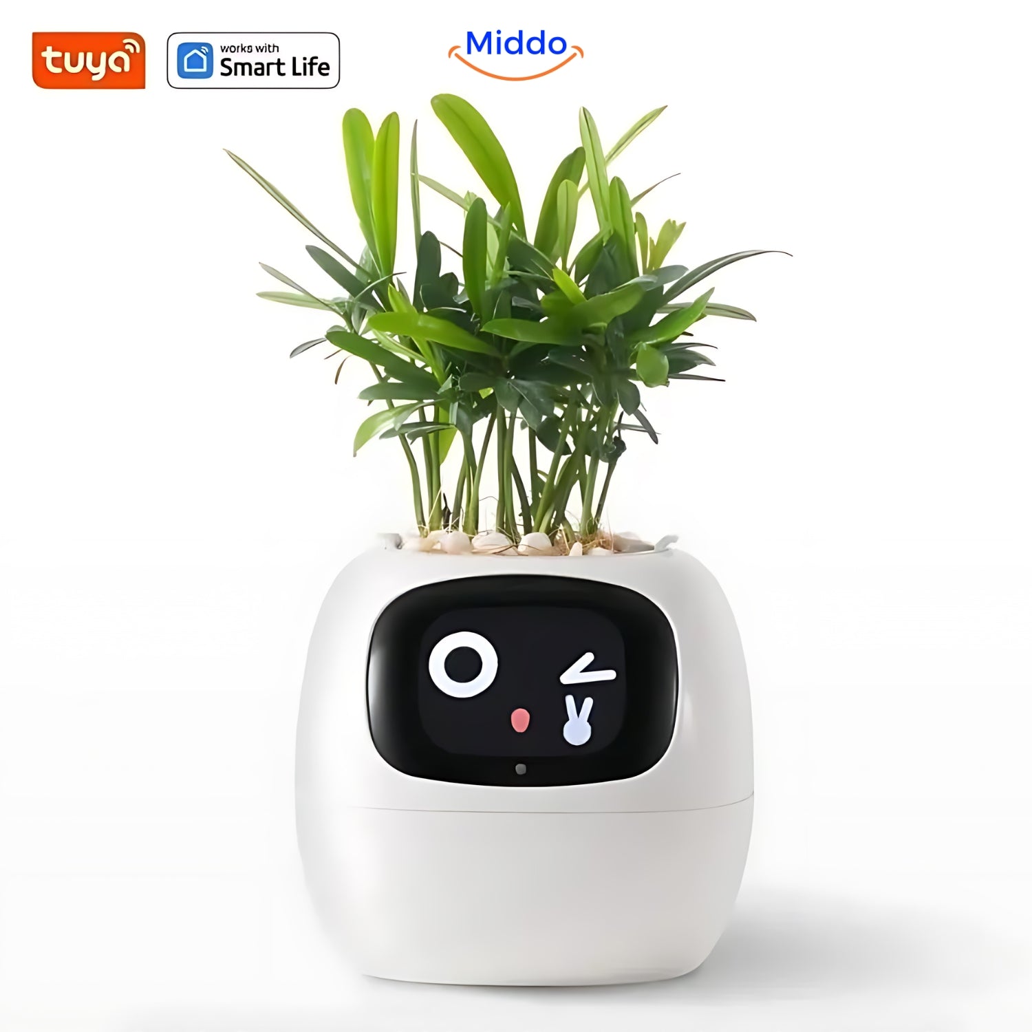IvyCare Automatischer Blumentopf | Intelligente Pflanzenpflege für glückliche Pflanzen
